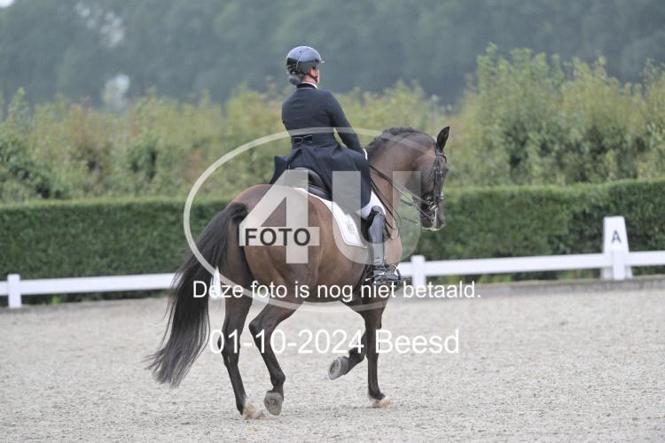 241001 0062