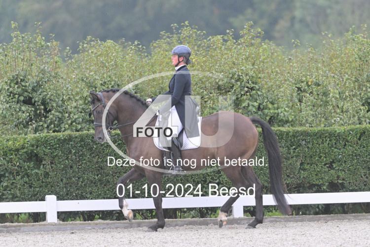 241001 0070