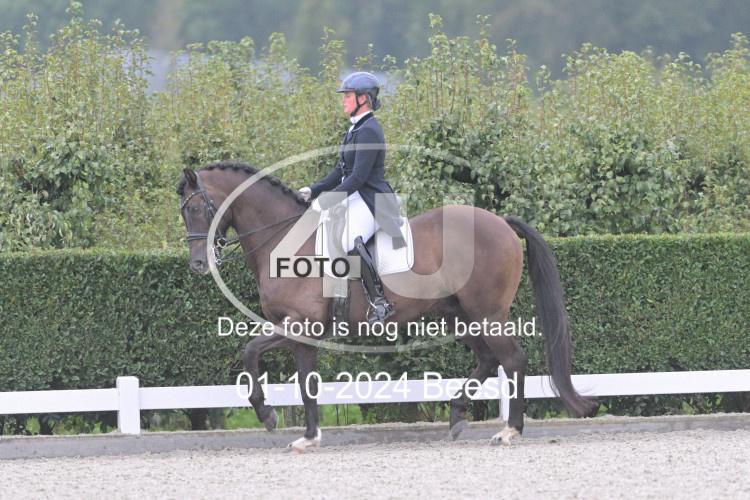 241001 0072
