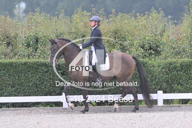 241001 0077