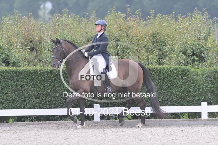 241001 0078