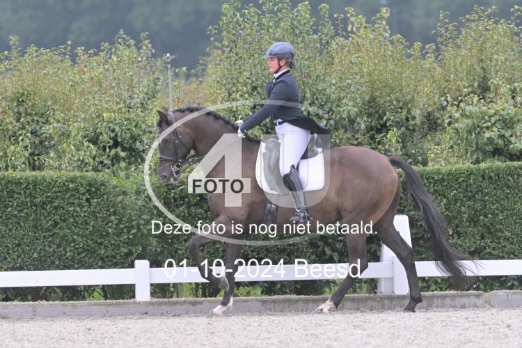 241001 0083