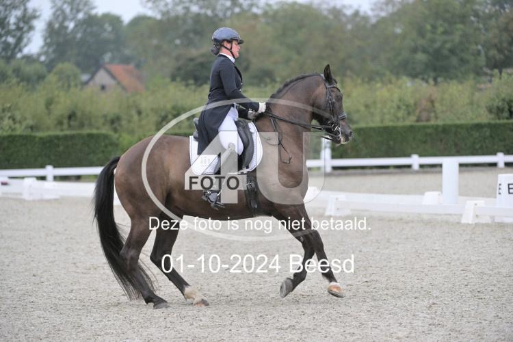 241001 0088