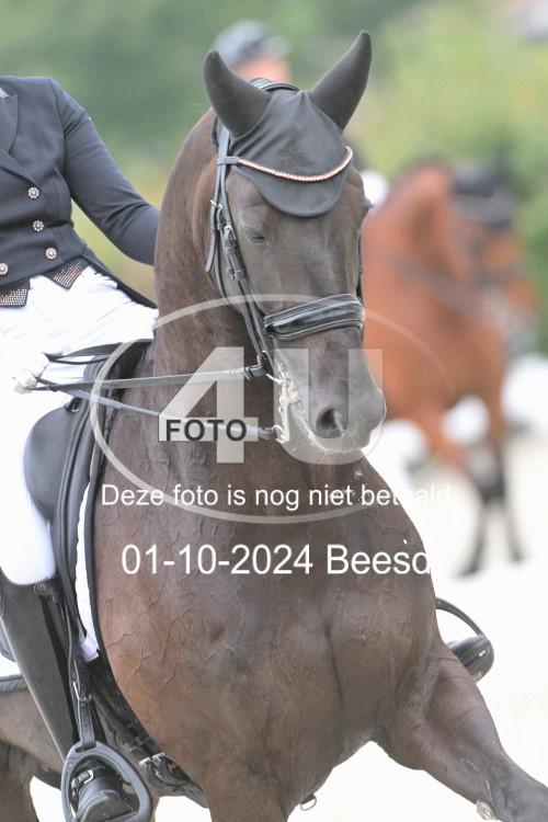 241001 0141