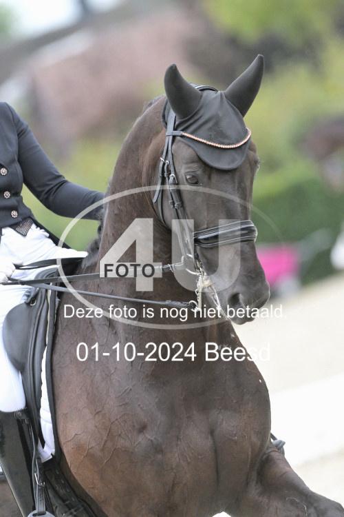 241001 0142