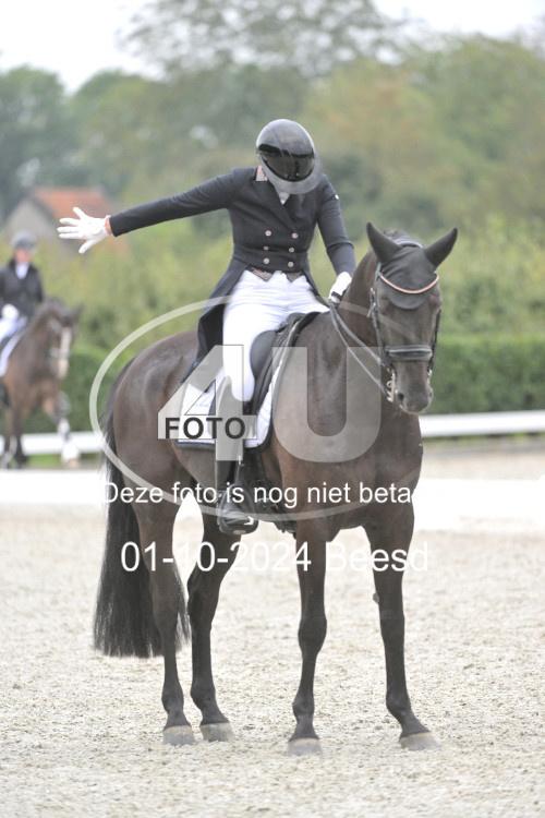 241001 0220