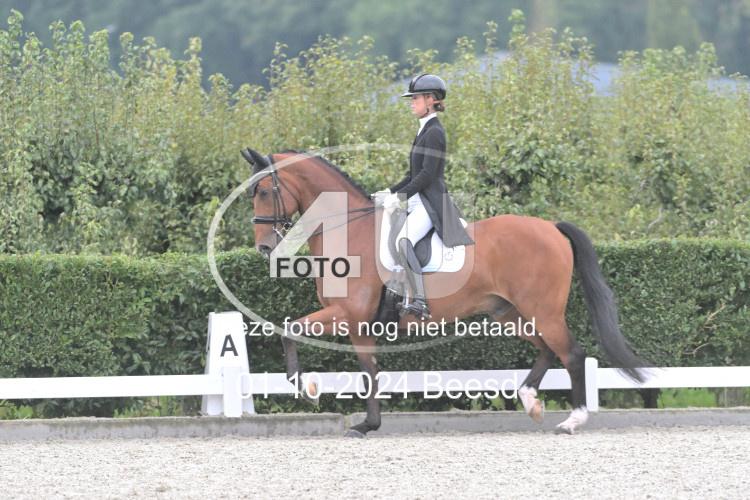 241001 0227