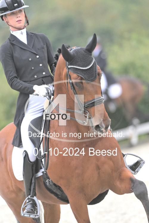 241001 0247