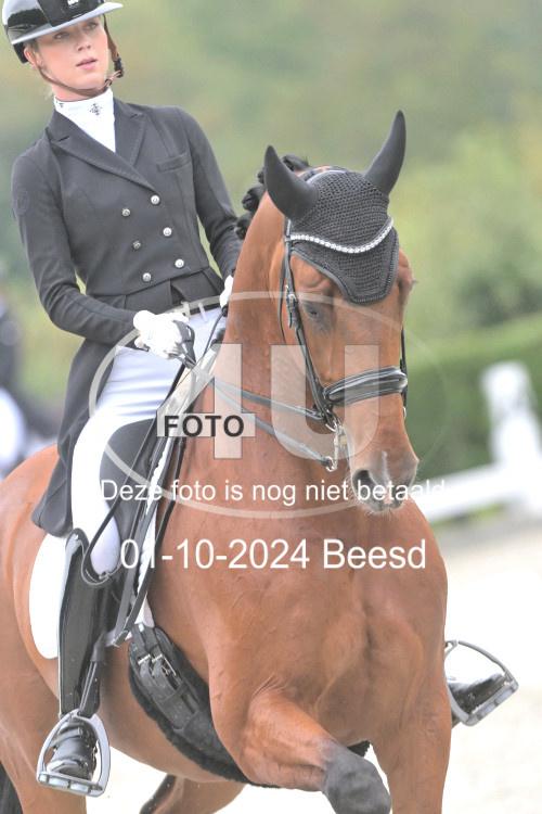 241001 0248