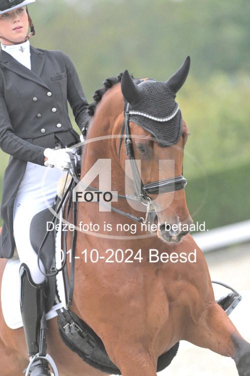 241001 0249