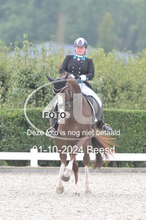 241001 0370