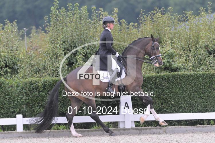 241001 0444