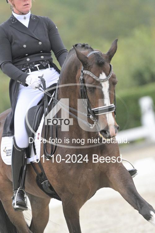 241001 0464