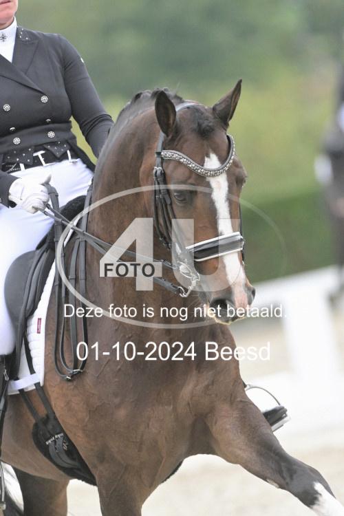 241001 0466