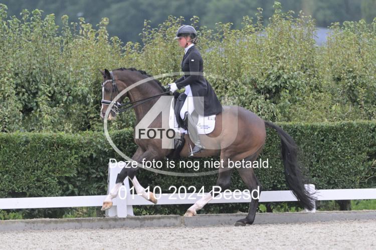 241001 0531