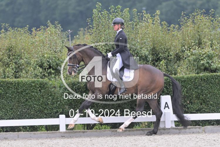 241001 0532