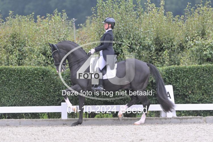 241001 0577