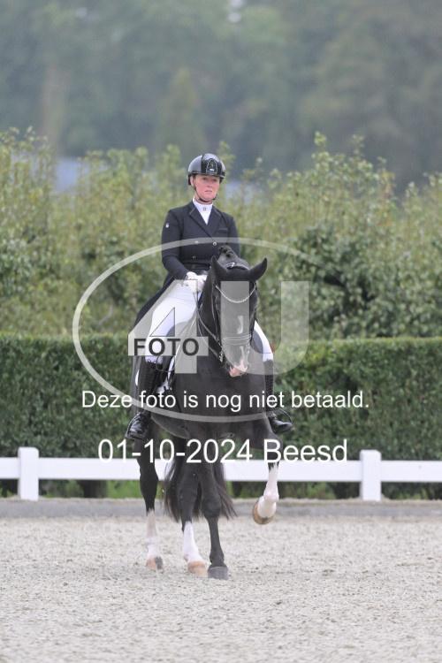 241001 0586
