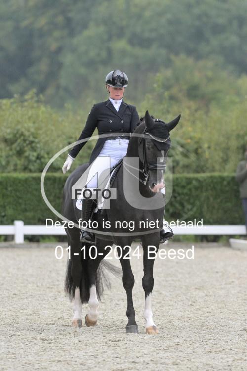 241001 0589