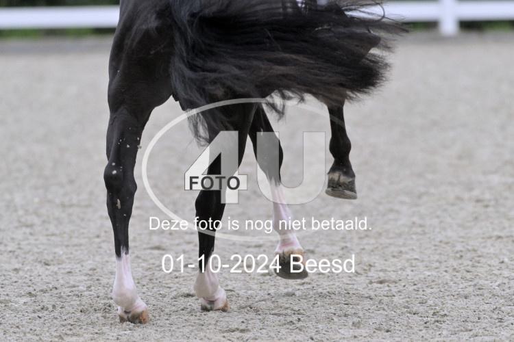 241001 0666