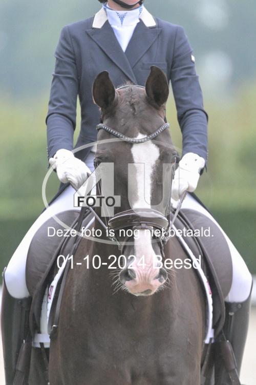 241001 0695