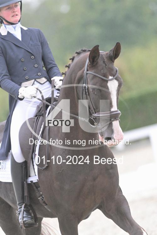 241001 0709
