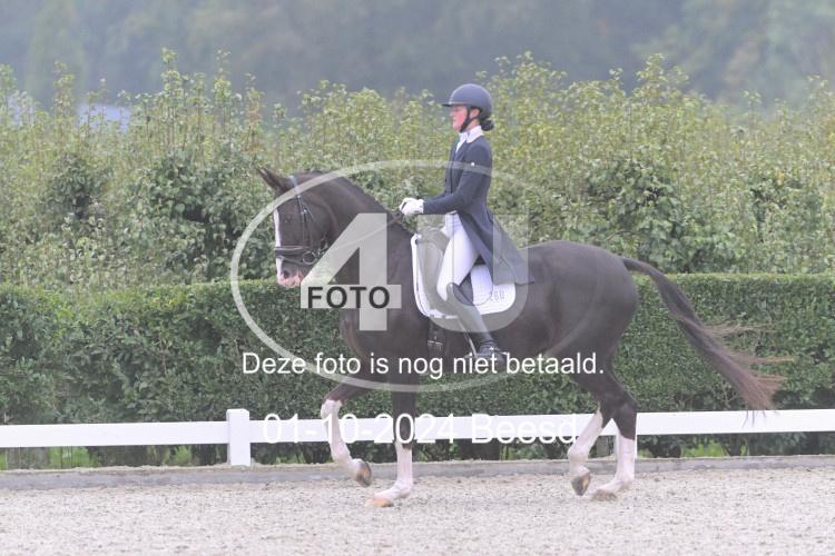 241001 0741