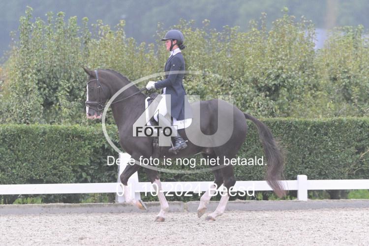 241001 0745
