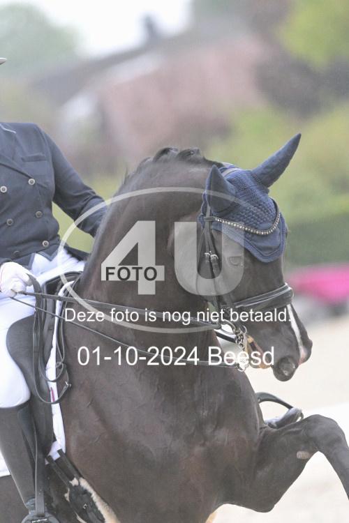 241001 0813