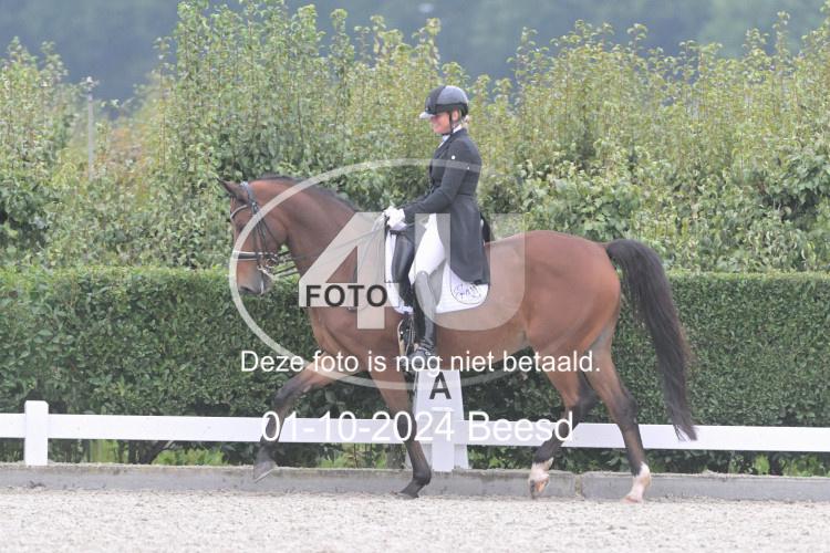 241001 1013