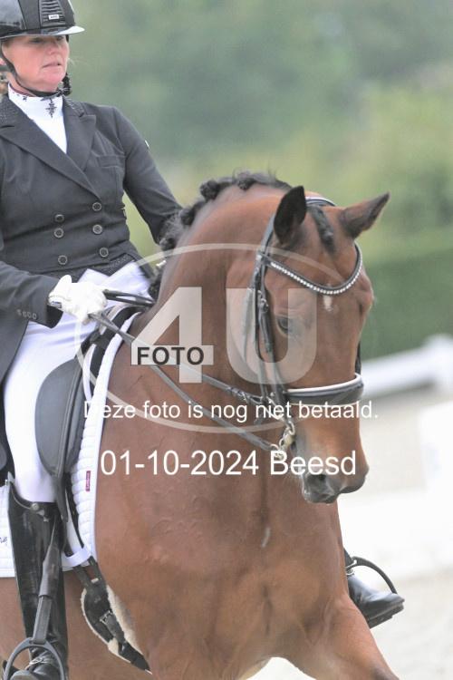 241001 1029