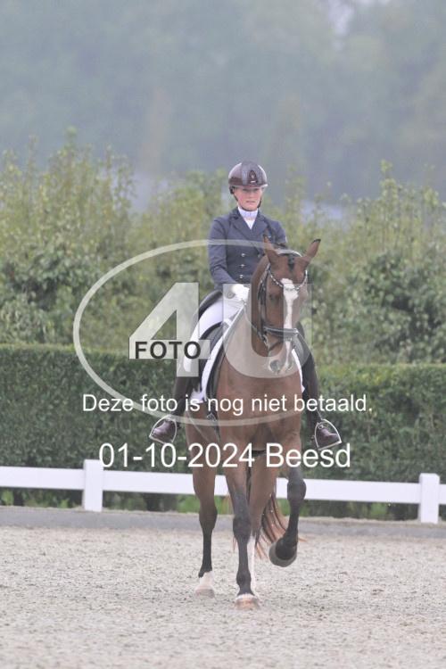 241001 1103