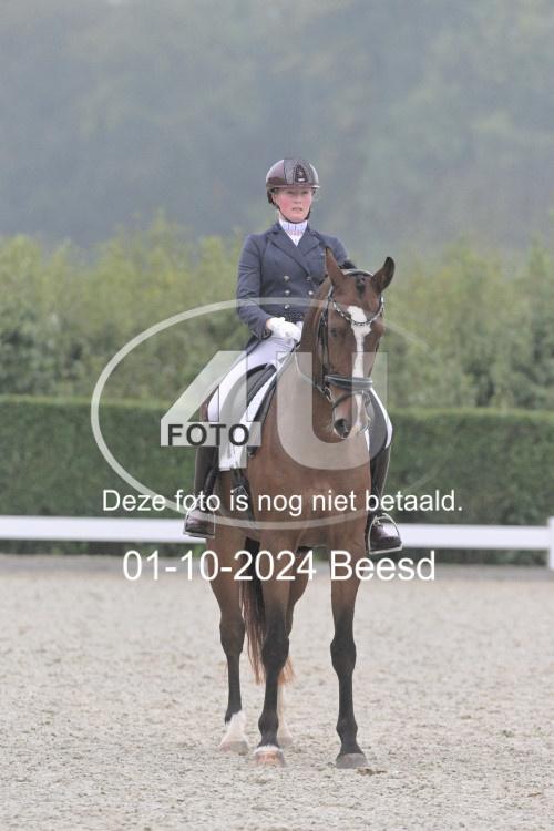 241001 1105