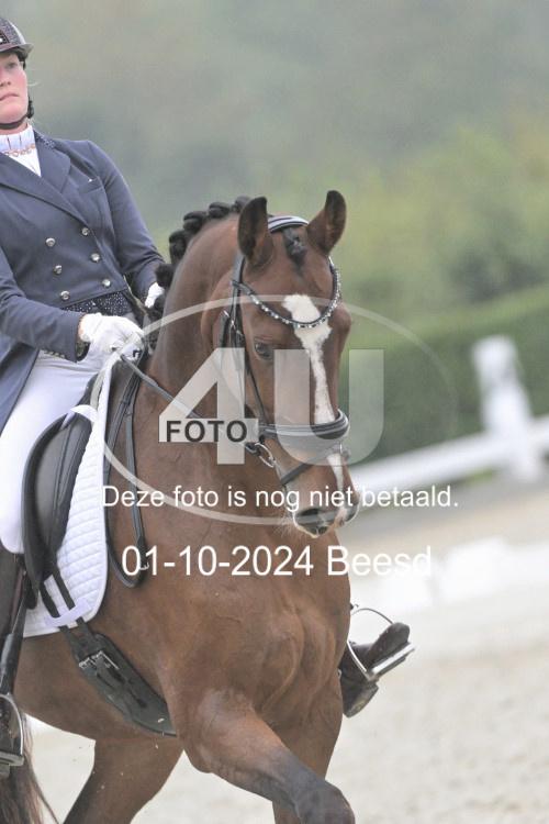 241001 1112