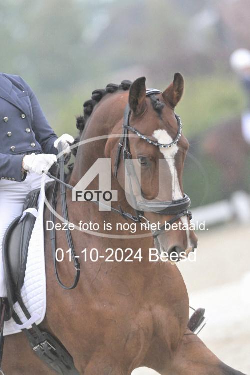 241001 1115