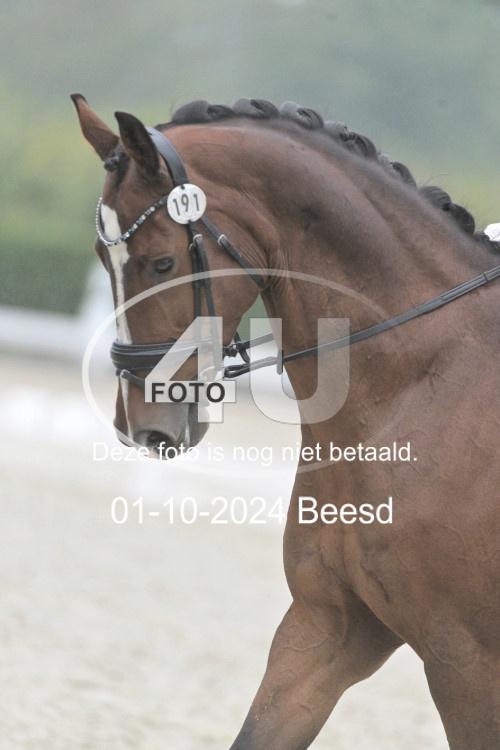 241001 1150