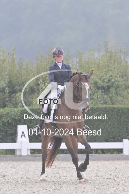 241001 1158