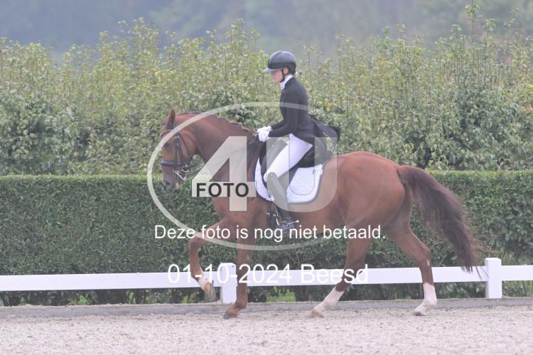 241001 1184