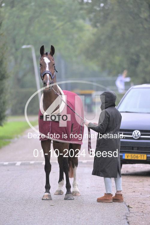 241001 1303