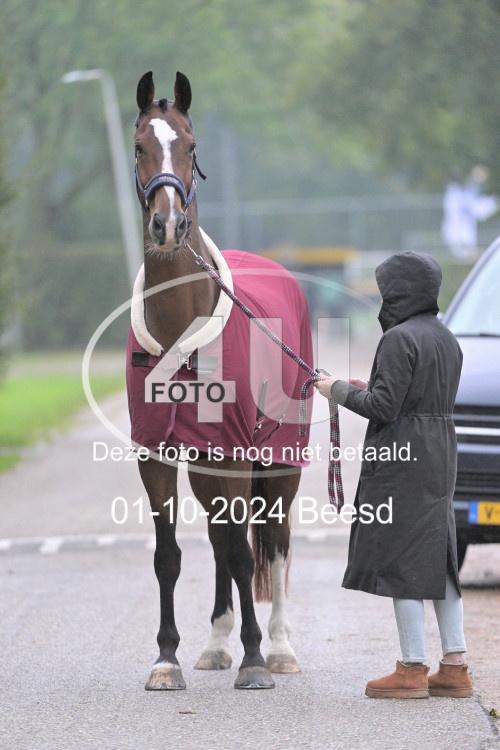 241001 1306
