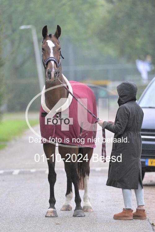 241001 1307