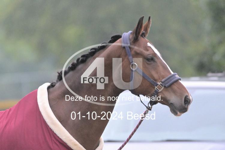 241001 1317