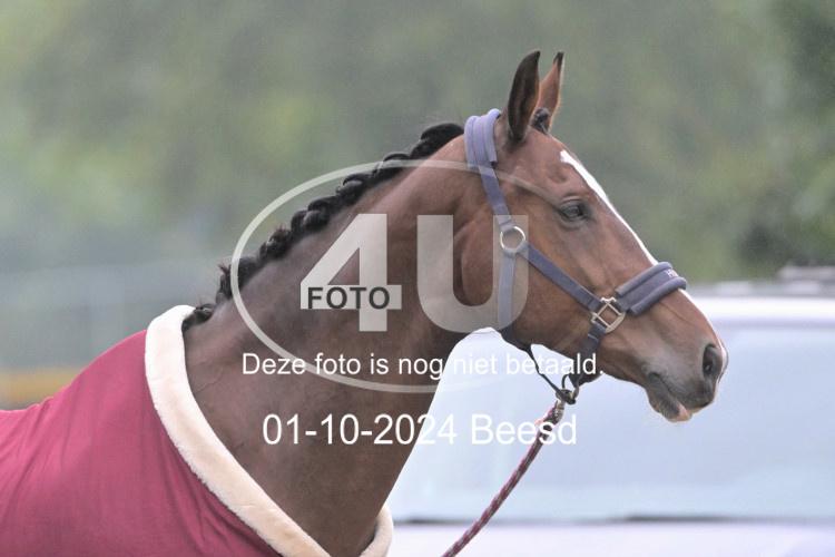 241001 1319