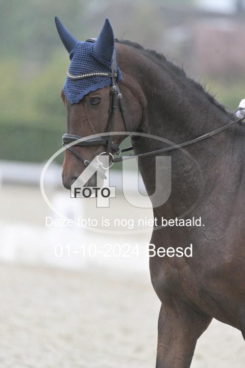241001 1324