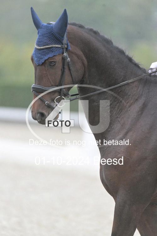 241001 1325