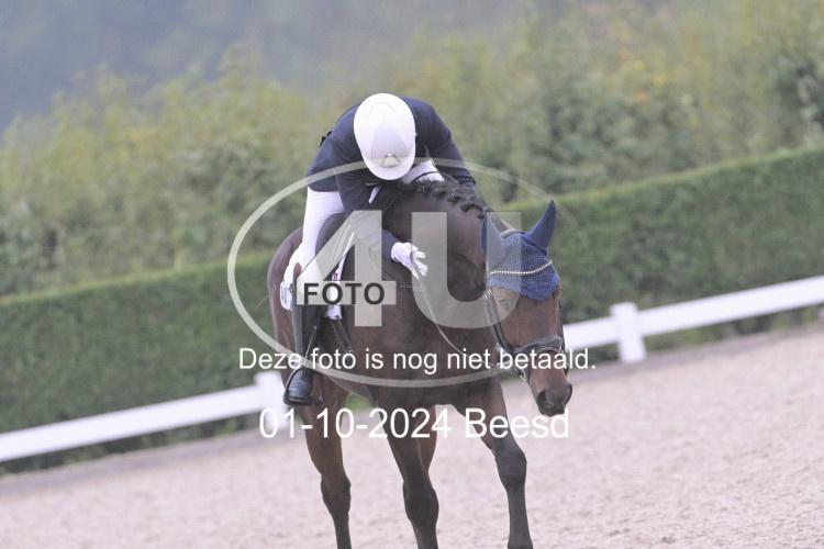 241001 1352