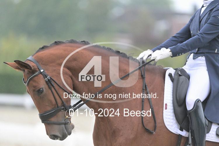 241001 1398