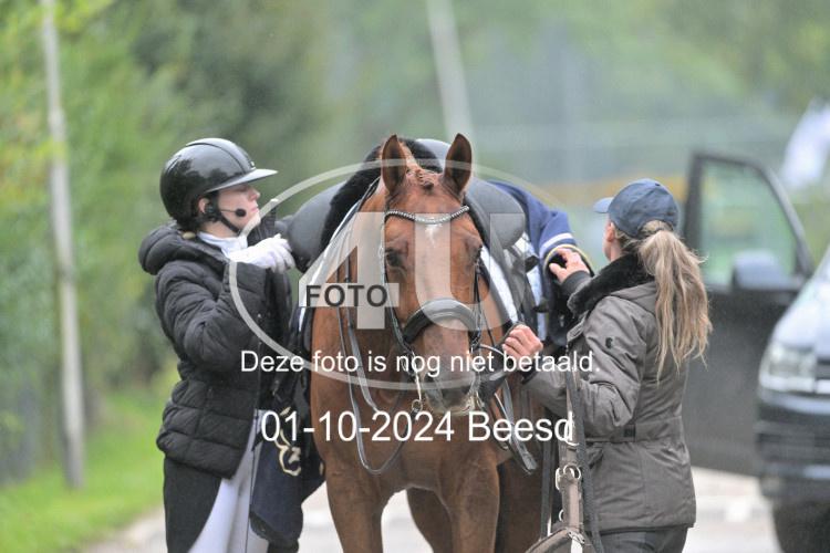 241001 1429