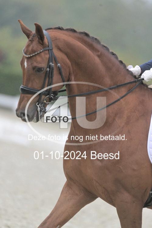 241001 1504
