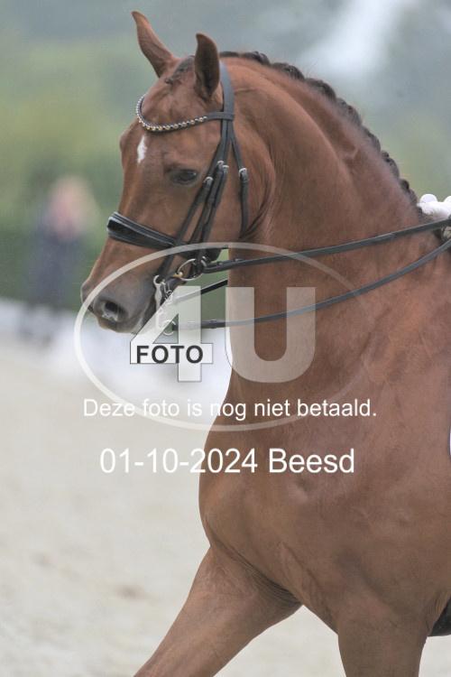 241001 1506